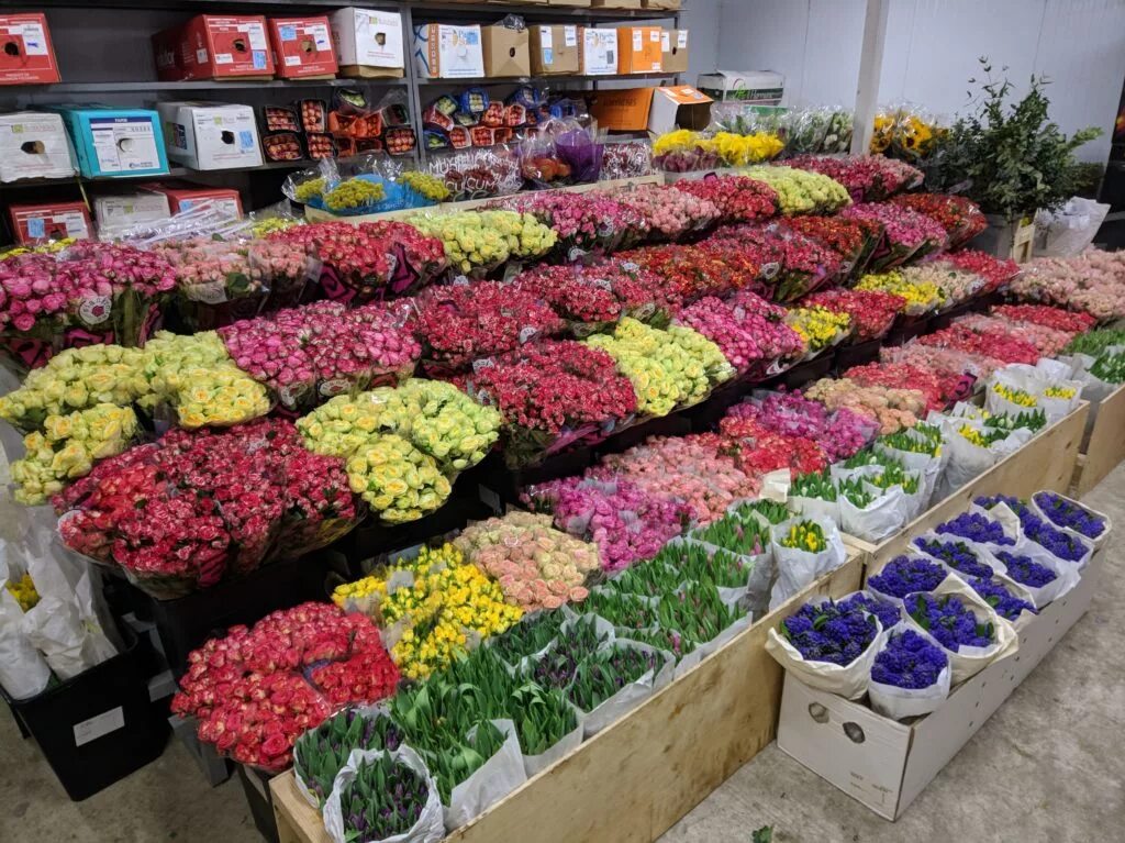 Мачелюк цветы от мачелюка. Цветочную оптом. Цветочный рынок. Оптовый склад цветов. Цветочную оптом.