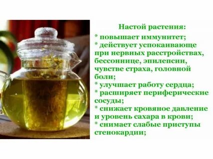 Какие травы поднимают иммунитет