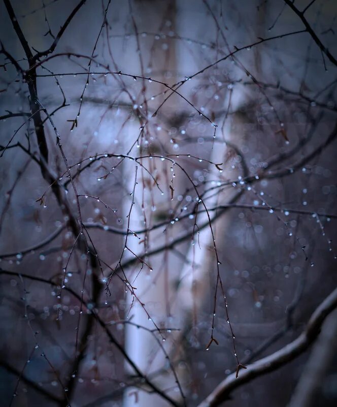 зима какой дождь. зимний дождь. дождь зимой. зимний дождь картинки. дождик зимой.