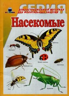 Учебник насекомые