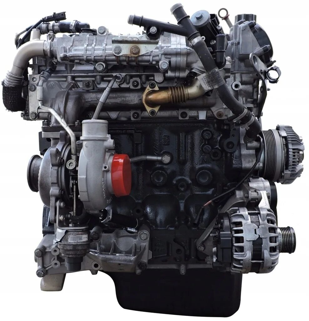 Двигатель Ивеко 3.0. Двигатель Iveco Daily. Двигатель Ивеко Дейли 3.0 дизель. Двигатель Ивеко 3.0 дизель евро 2. Ивеко дейли мотор