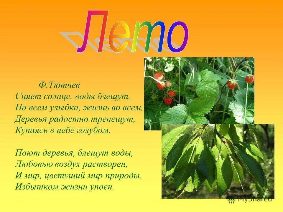 тютчев сияет солнце анализ. стихотворение тютчева полдень. тютчев сияет солнце анализ. сияет солнце воды блещут на всем улыбка жизнь. стихотворение полдень.