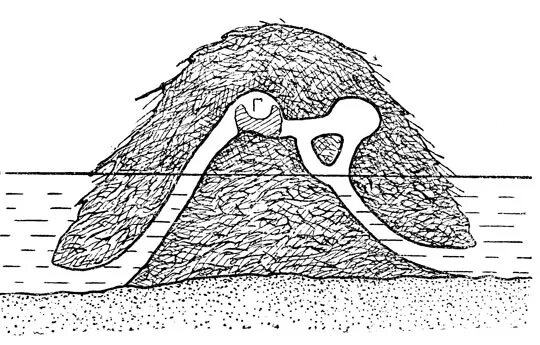 Хатка ондатры в разрезе. Плотина ондатры. Хатка ондатры схема. Схема плотины и хатки бобра. Схема бобра