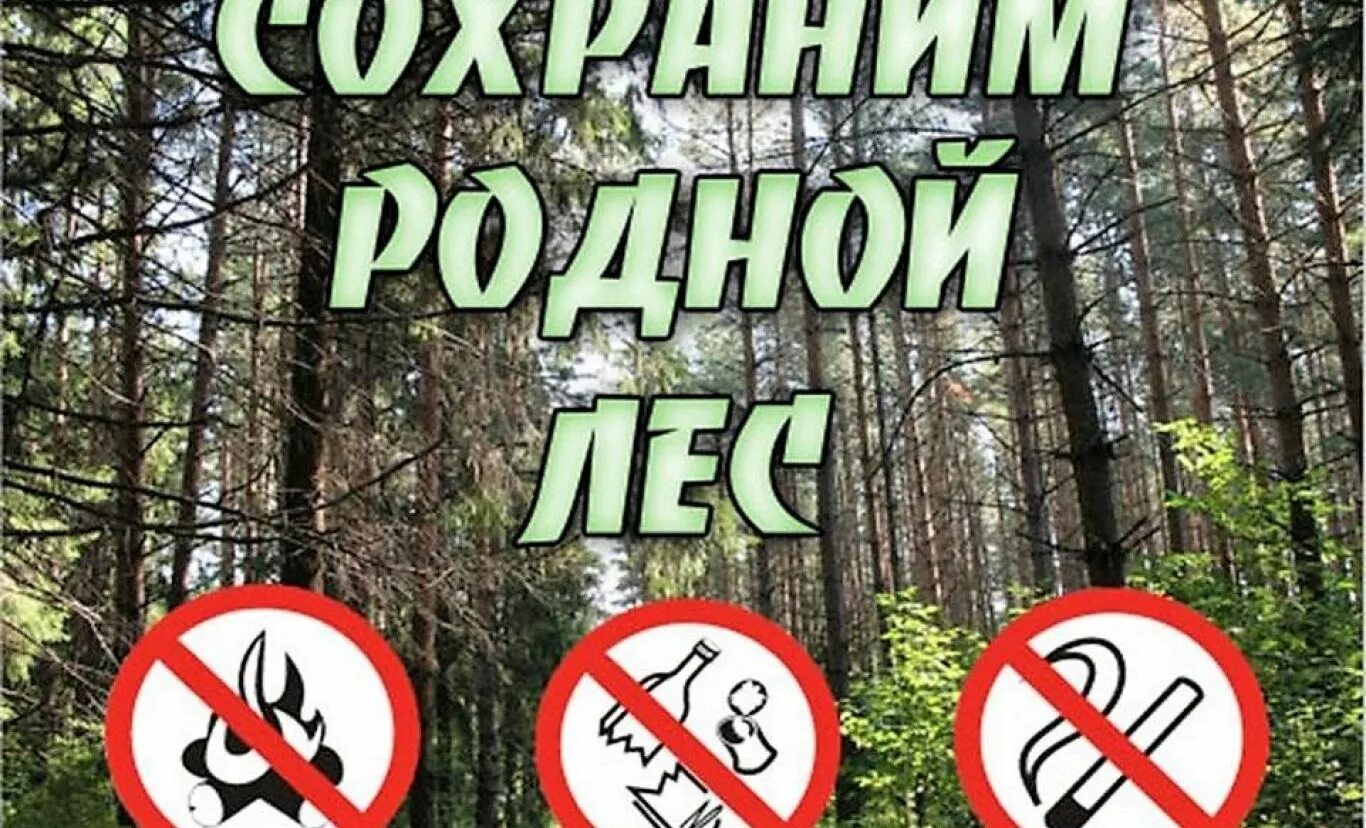 Что там делать в лесу. Сохраним лес. безопасное поведение в лесу. табличка в лесу. противопожарные аншлаги в лесу.