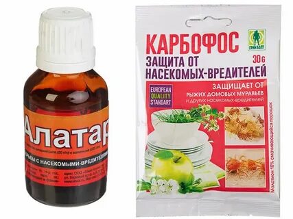 Карбофос для обработки деревьев и кустарников