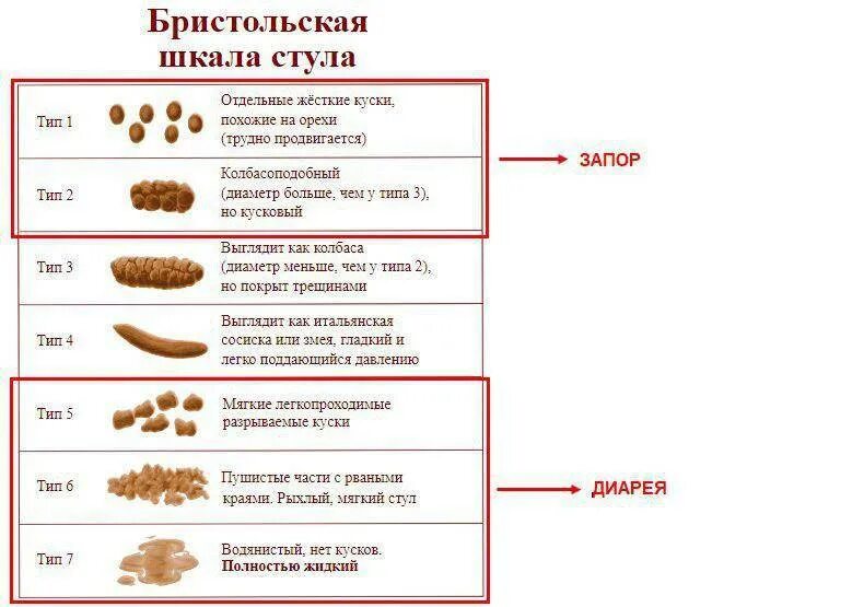 Какой кал у человека норма. Жидкий кашицеобразный стул. Мягкий кашицеобразный стул.