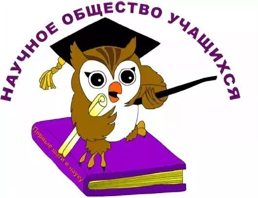 Ученик научно исследовательские проекты Как писать план исследования