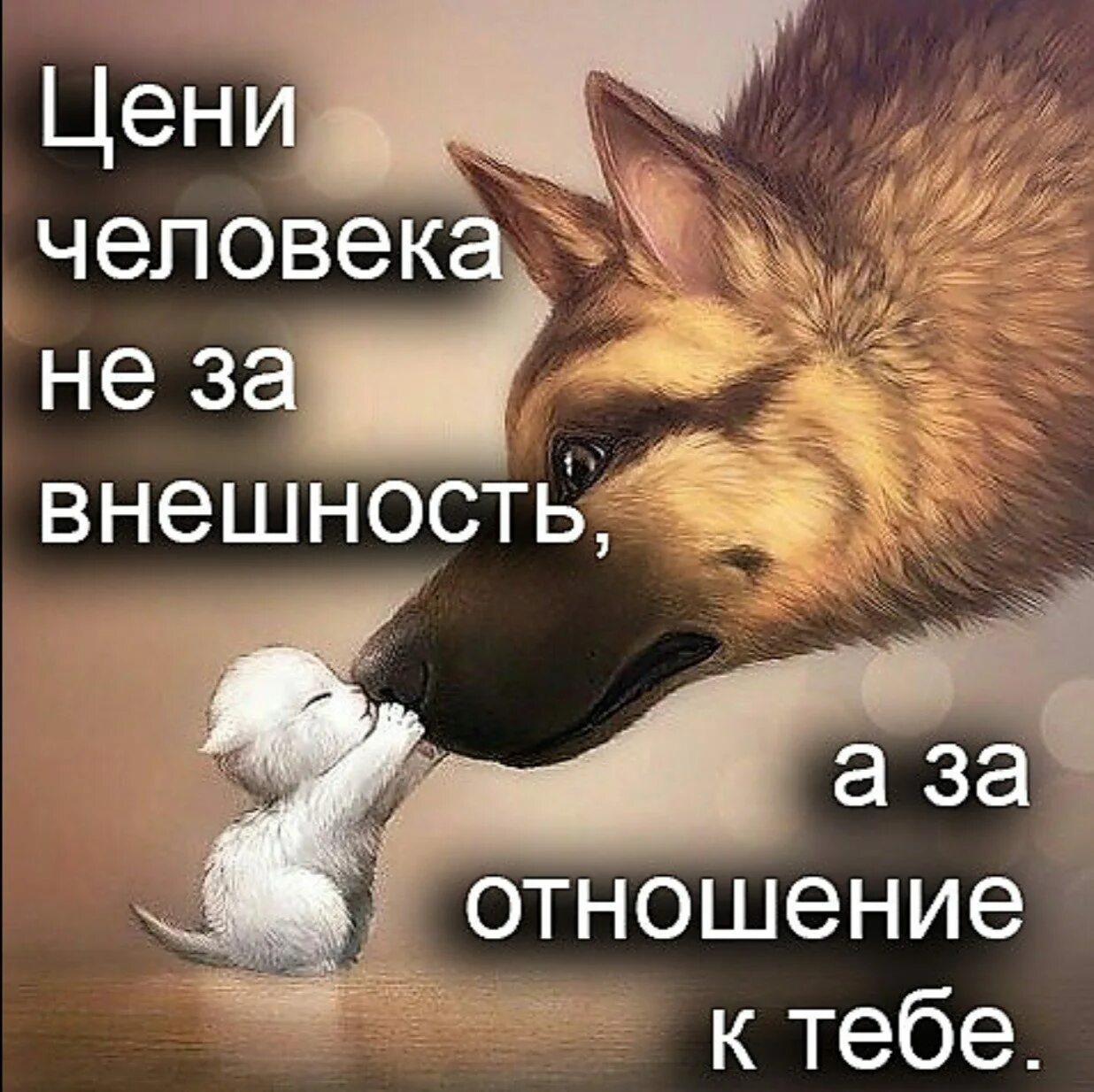 Не ищи смысла его нет