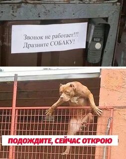 Подождать звонок