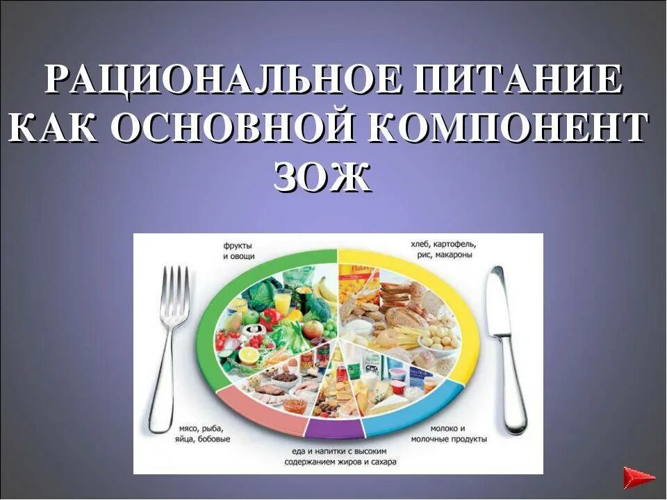 Компоненты правильного питания. Рациональное питание и здоровый образ жизни. составляющие рационального питания. принципы рационального питания школьников. здоровое питание зож.