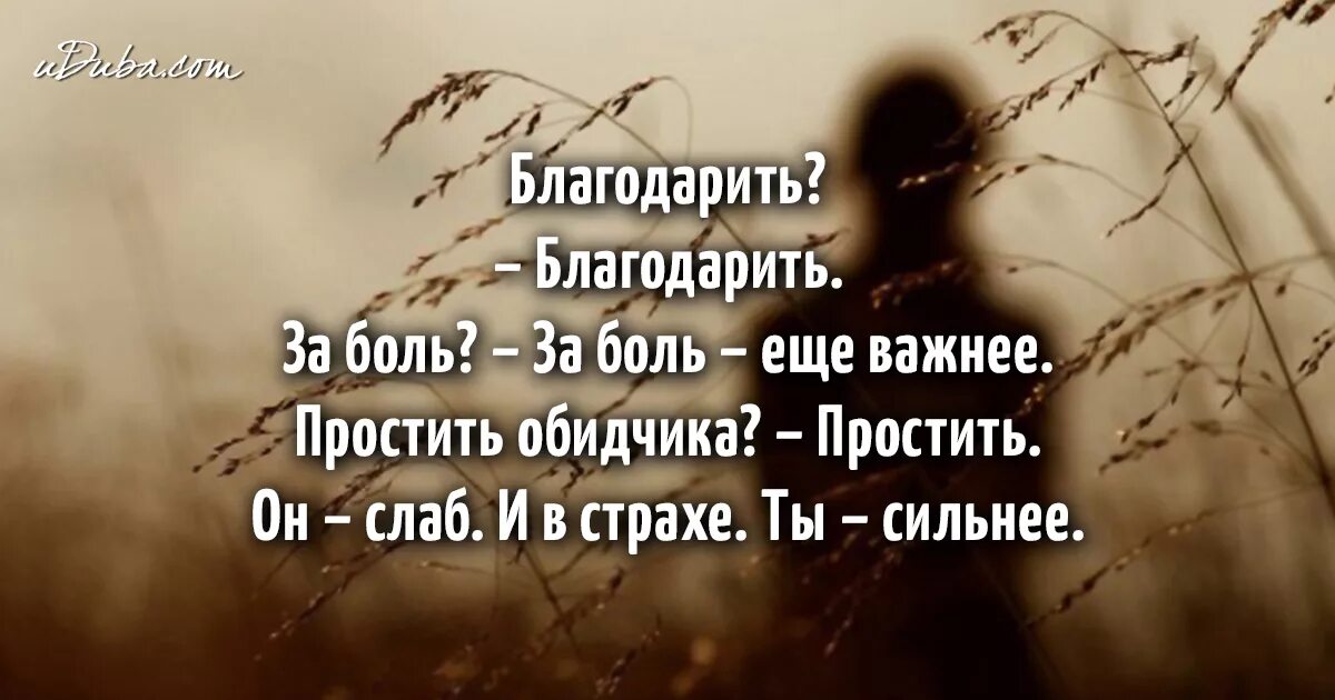Притча благодарю. Притча благодарю. Притчи о благодарении. Мудрые высказывания. Мудрые притчи о благодарности.