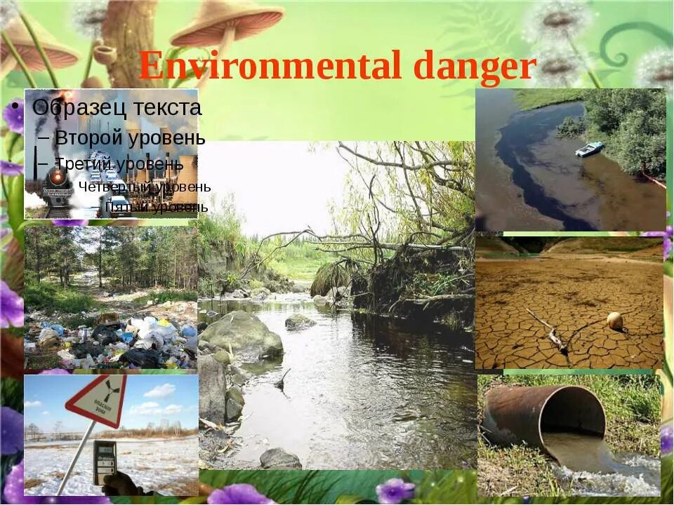 Our planet is in danger. World is in danger. Trees are cut down. Save the earth. Environment is in danger.