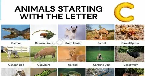 Starts with c