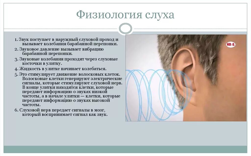 Колебания воздуха в ухе