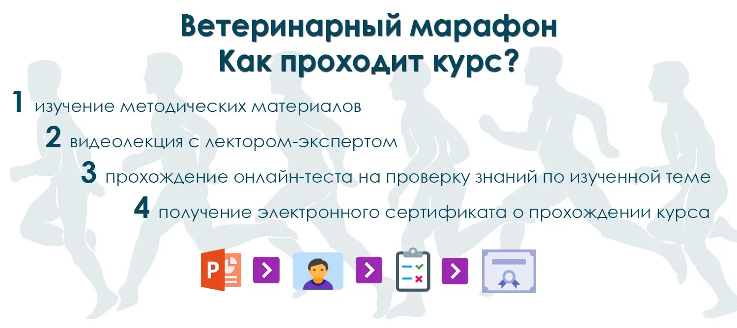 Ветеринарная дистанционное обучение. Марафон бег. Уралбиовет ветмарафон. Ветмарафон. Ветмарафон.