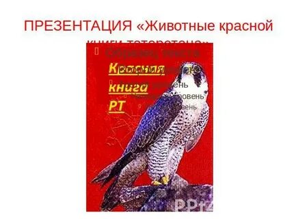 Животные занесенные в красную книгу республики татарстан
