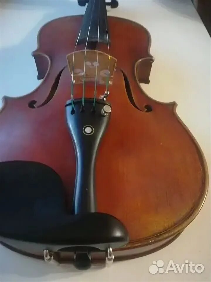 Скрипка новосибирск