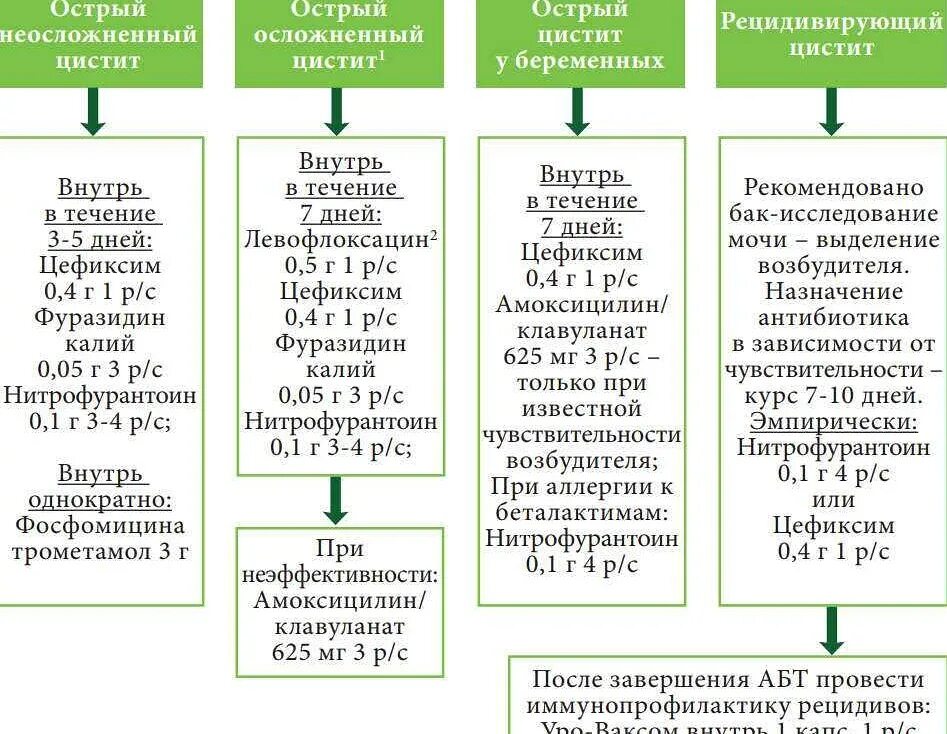 Схема лечения цистита у детей 5 лет. Схема лечения цистита у детей 3 лет. Лечение хронического цистита у детей схема. Схема лечения острого цистита у женщин. Цистит лечение эффективное лекарство