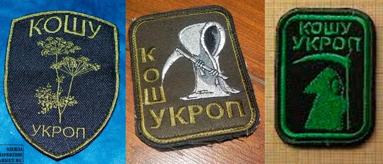 Кошу ни