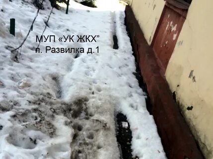 Отмостки от снега