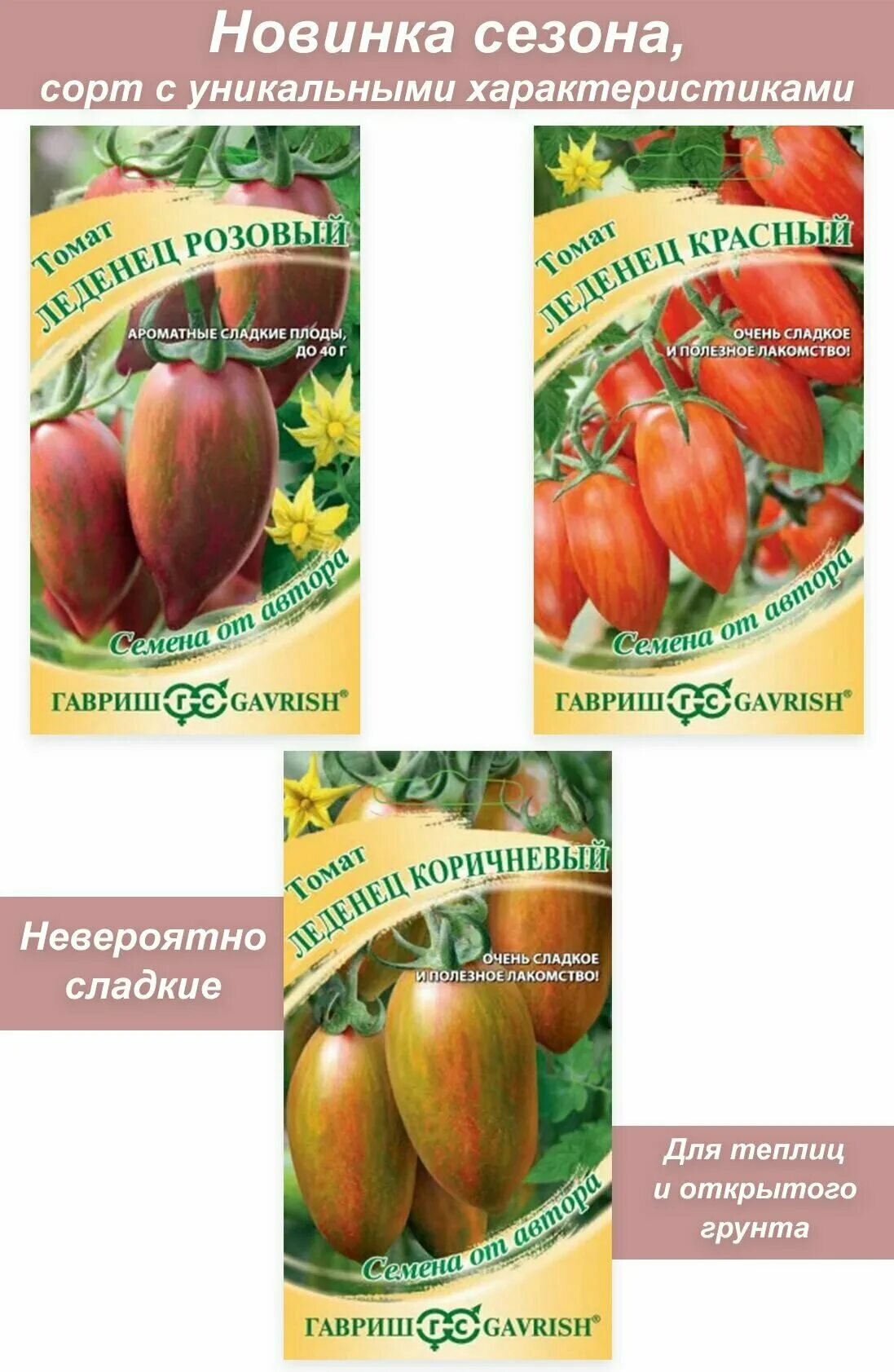 томат леденец розовый. томат леденец сладкая сосулька. томат леденец розовый отзывы. томат леденец розовый отзывы. семена помидоры леденец от гавриш.