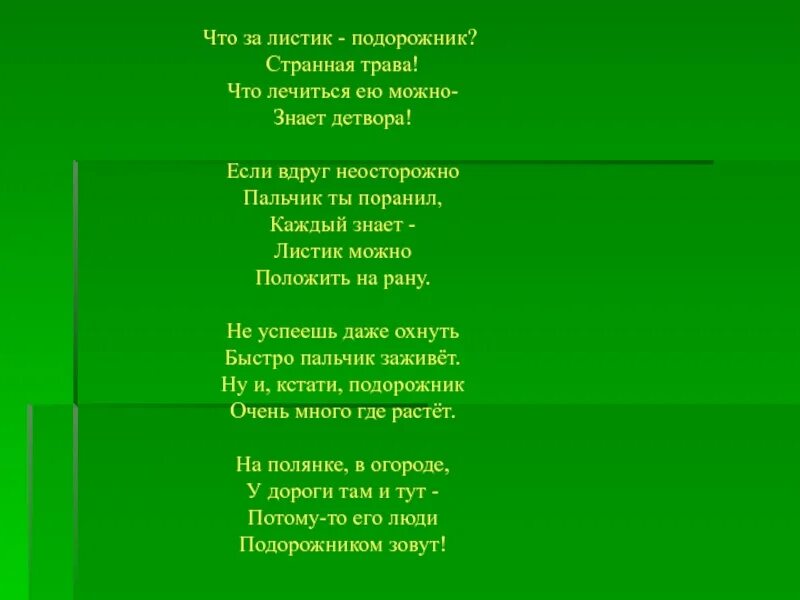 Подорожник стих. Международный день слепых презентация. Подорожник песня текст. Стихи про слепых. Всемирный день слепых 13 ноября.