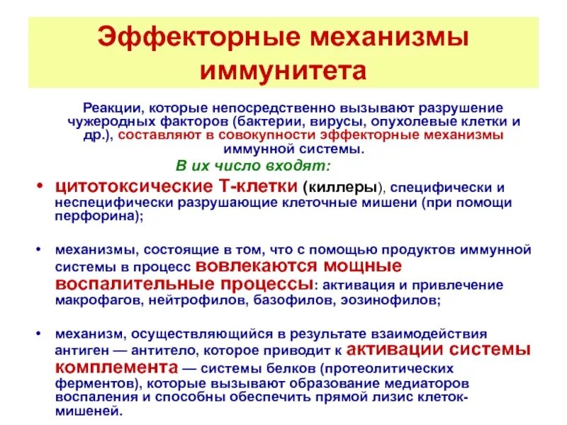 Эффекторные реакции иммунитета. Механизм реакций иммунитета. Эффекторные механизмы клеток. Эффекторные механизмы врожденного иммунитета. Эффекторные т клетки