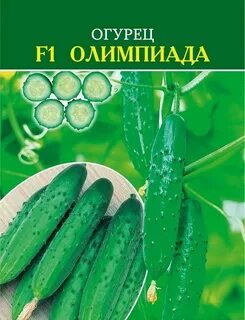 Огурец бухара
