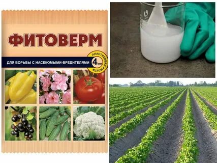 Фитоверм обработка теплицы осенью
