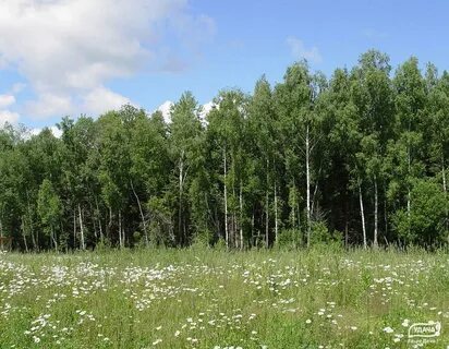 Погода в юбилейном калужская область малоярославецкий