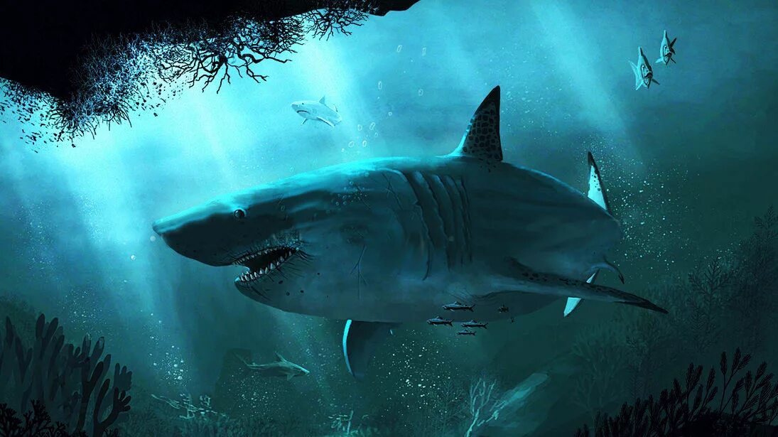 Top 5 REAL Megalodon Evidence Found Throughout History - YouTube