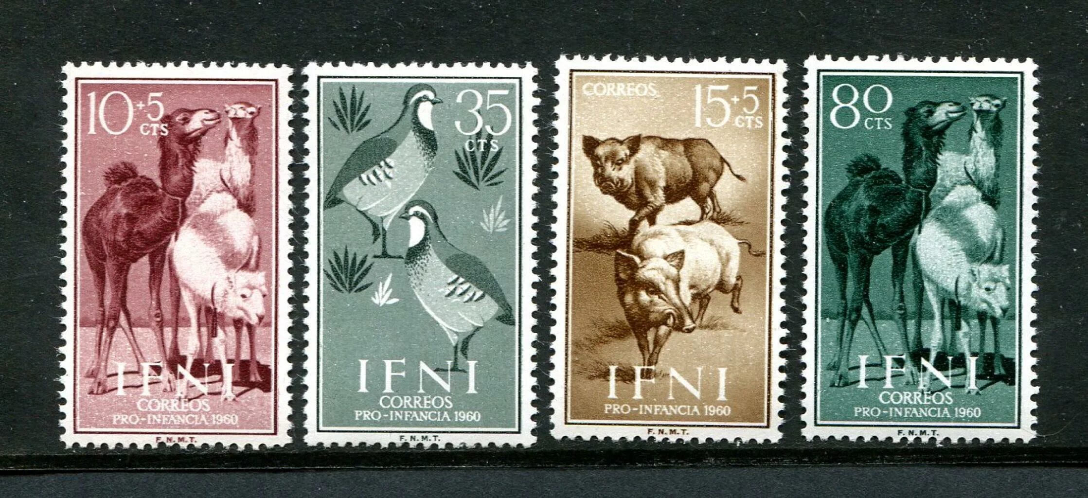 1960 животного