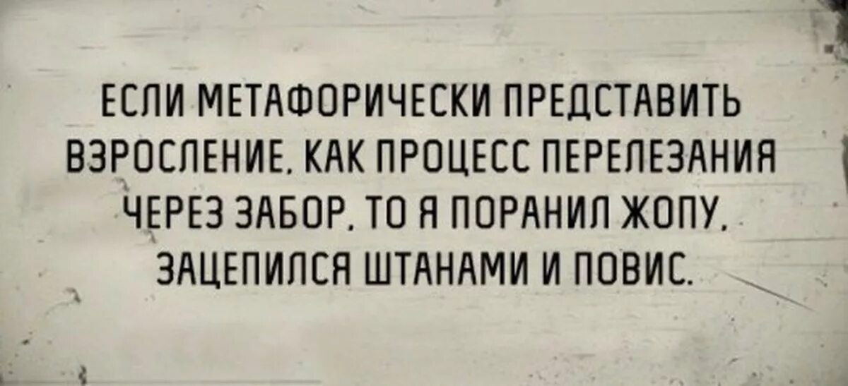 Ну давай расскажи мне мем. А чем же она хороша спросите. Давай детка. Цитаты про ведьм. Ночью нехило так хрюкнула.