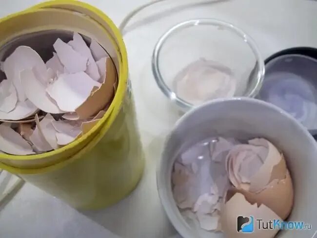 Как из яичной скорлупы сделать кальций. Порошок из яичной скорлупы.