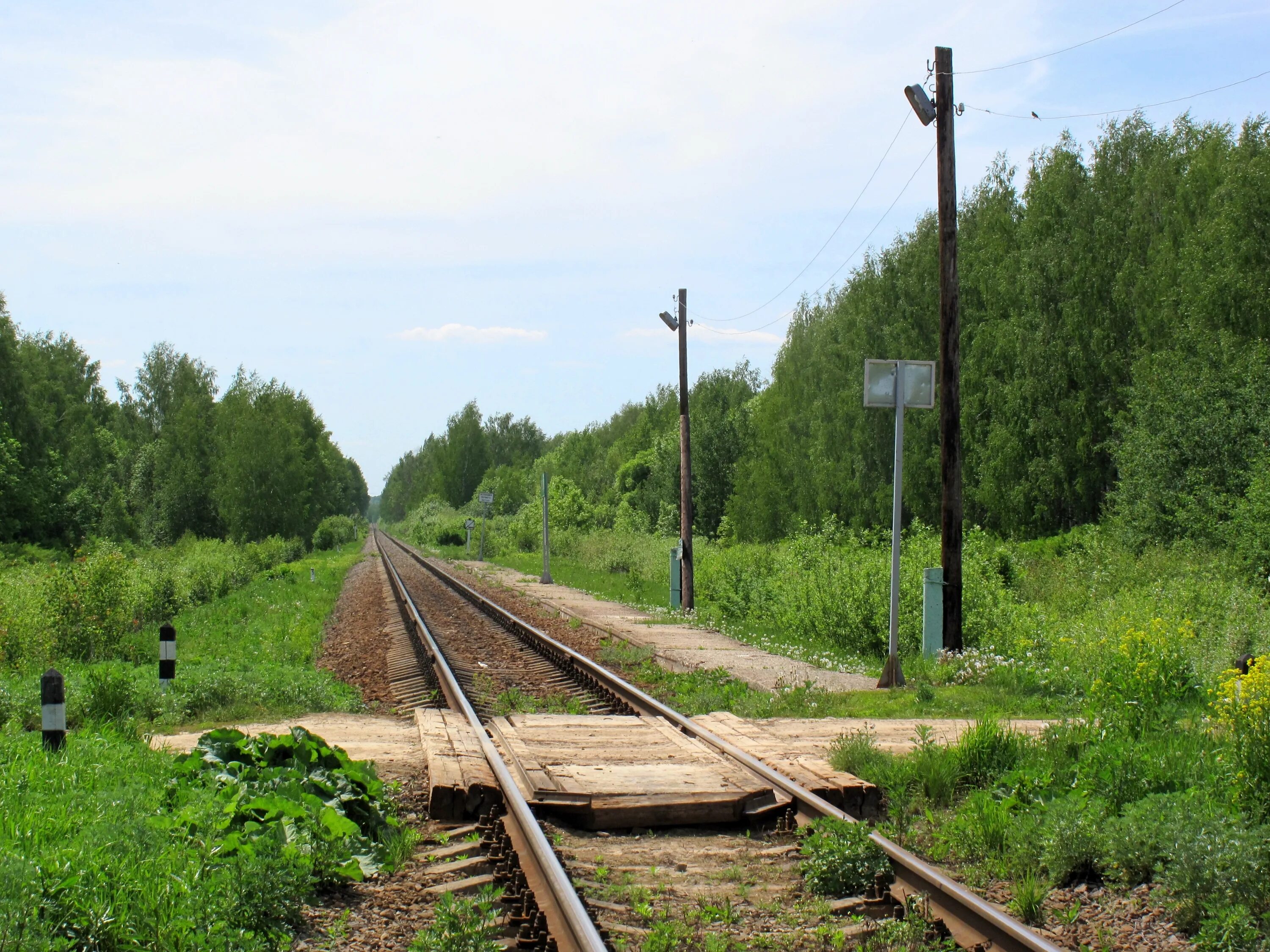 П лесной рязанской области шиловский район. РП Лесной Шиловский район Рязанская область. Деревня Ореховка Шиловского района Рязанской области. Посёлок Лесной Рязанской области Шиловского района. Станция Ушинский Рязанская область.