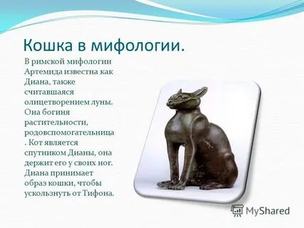 Кошки в мифологии