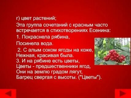 Рябина алая текстом песни