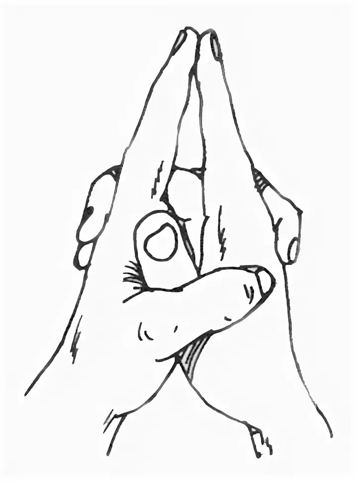 мудра "раковина" - "шанкха". мудры автор. мудры золотарев исцеляющие. мудры автор. мудра любви.