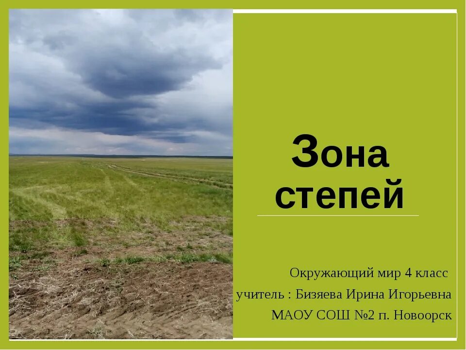 Проект про степи. Степи окружающий мир. Зона степей России. Зона степей степей в России.