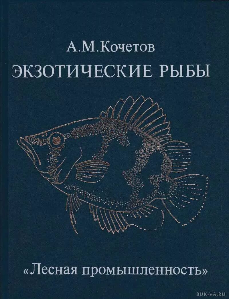 Экзотические рыбы - Кочетов а. м.. Книга Кочетов экзотические рыбы. Кочетов а м аквариумист. Книга про аквариумных рыбок. Рыба книги купить