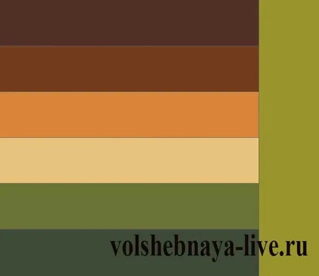 Сочетание цветов с коричневым. Сочетание коричневого и зеленого. Сочетание цветов хаки. Сочетание цветов коричневый и зеленый. Горчичный коричневый