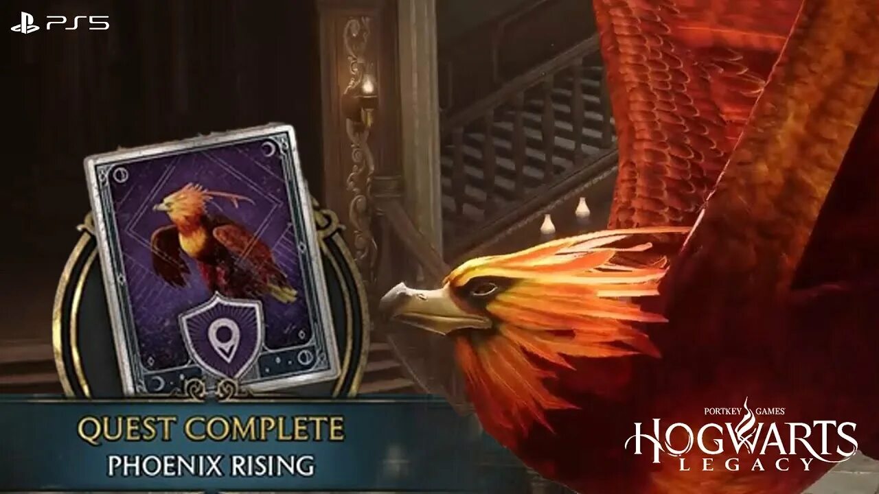 Логово феникса хогвартс легаси. Феникс хогвартс легаси. Логово феникса хогвартс легаси. Феникс хогвартс. Птица феникс из гарри поттера.
