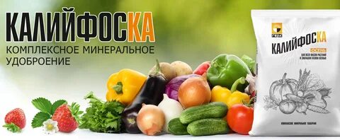 Магазинов кфх