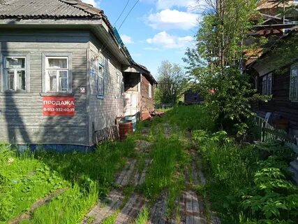 Волохница архангельск