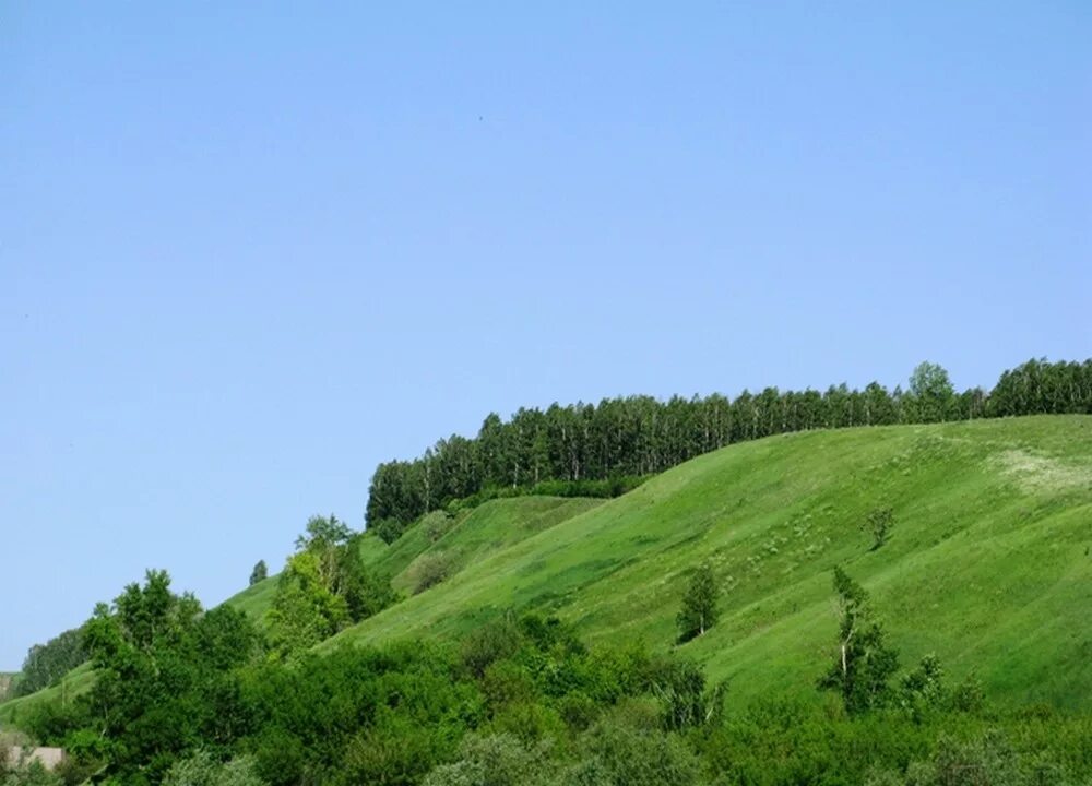 Ст холмы. Лысая гора Лысково. Лысые горы Тамбовская область. Лысая гора Тамбов. Лысая гора Инжавино.