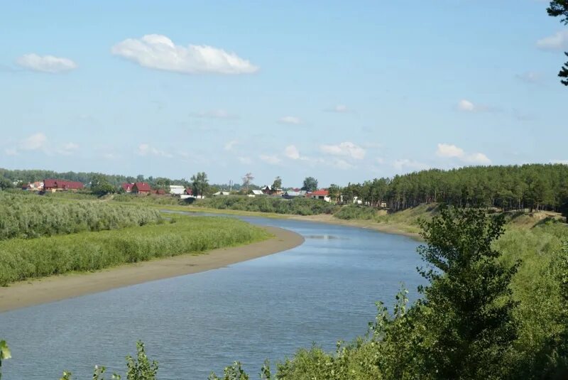 Село Бобровка Алтайский край Первомайский район. Река Бобровка Алтайский край Первомайский район. Первомайский район село Бобровка. Первомайское Первомайский район Алтайский край. Бобровка алтайский край купить