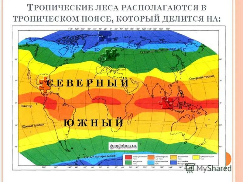 тепловые пояса земли. какой пояс самый теплый. карта тепловые пояса земли. какой пояс самый теплый. какой пояс самый теплый.
