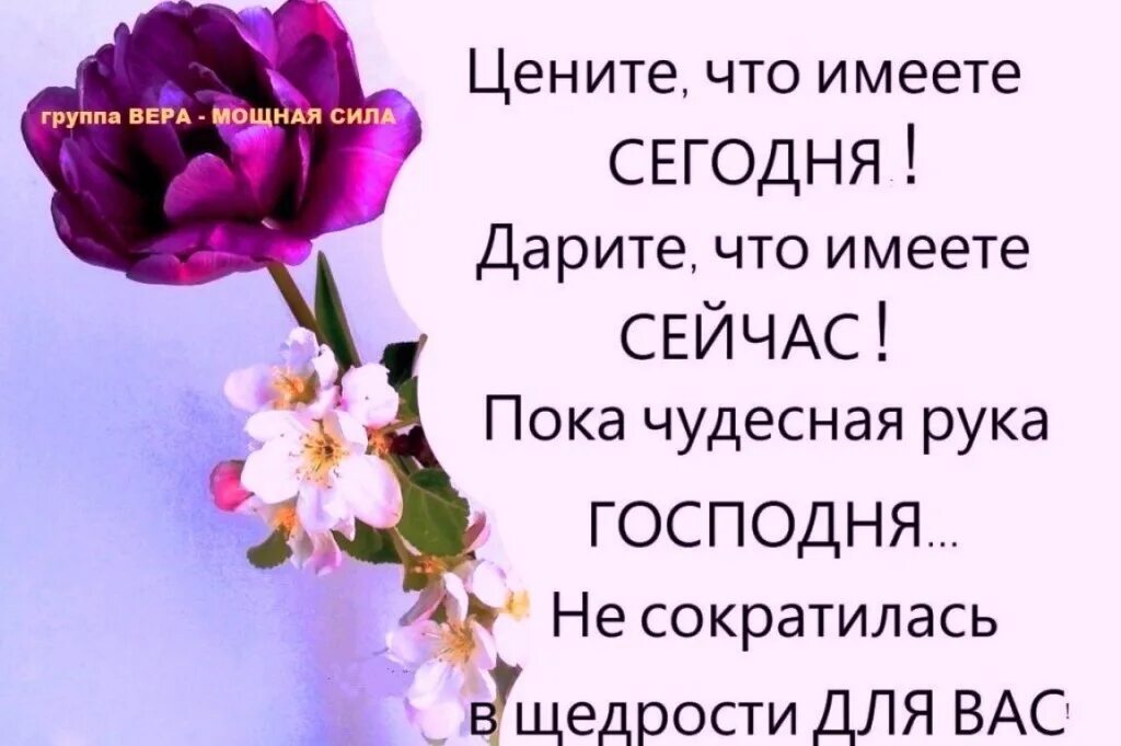 Счастье пришло как заслуга. Цените жизнь. Стихи цените людей. Цени что имеешь стих. Цените каждый день стихи.