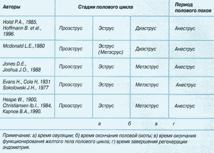 Течка у девушек