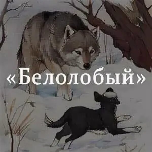 Содержание белолобый чехова. Рассказ белолобый. Рассказ Чехова белолобый.